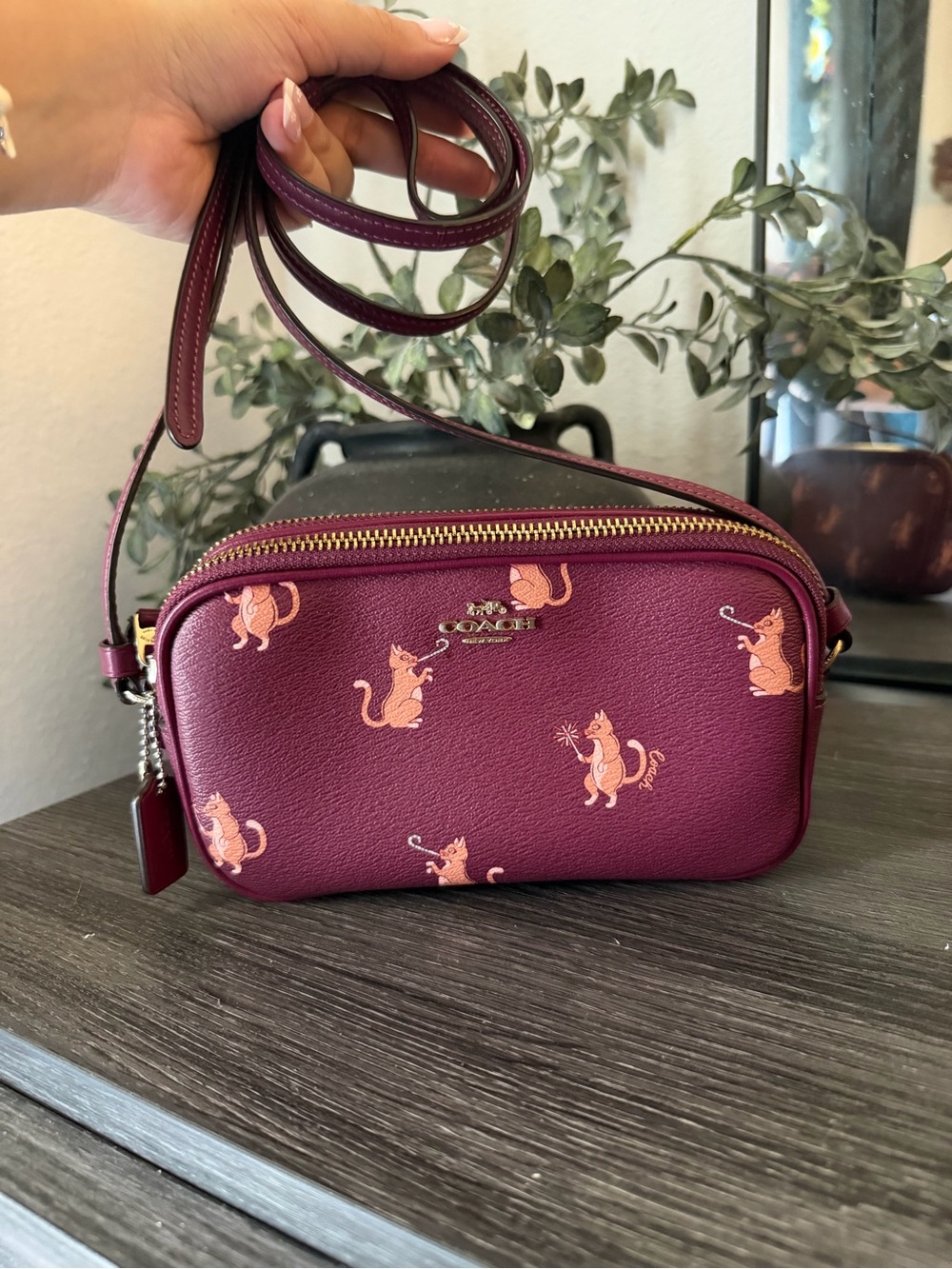 Coach Party Cats Crossbody